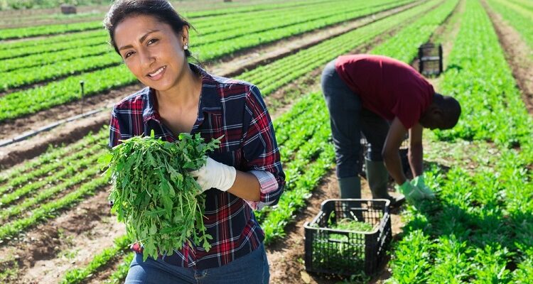 Leafy Vegetables