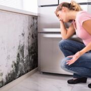 Mold Remediation