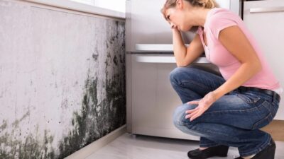 Mold Remediation